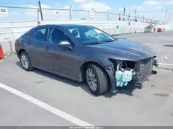 4T1B11HK7KU841404 2019 TOYOTA CAMRY
