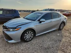4T1B11HK7KU849065 2019 TOYOTA CAMRY