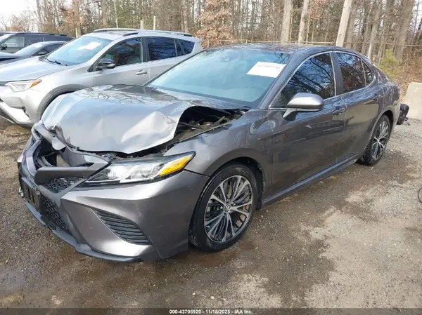 4T1B11HK7KU851849 2019 TOYOTA CAMRY - Image 2