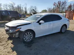 4T1B11HK7KU855514 2019 TOYOTA CAMRY