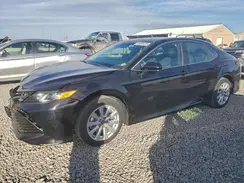 4T1B11HK8JU113699 2018 TOYOTA CAMRY