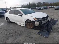 4T1B11HK8KU170244 2019 TOYOTA CAMRY