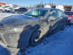 4T1B11HK8KU191059 2019 TOYOTA CAMRY