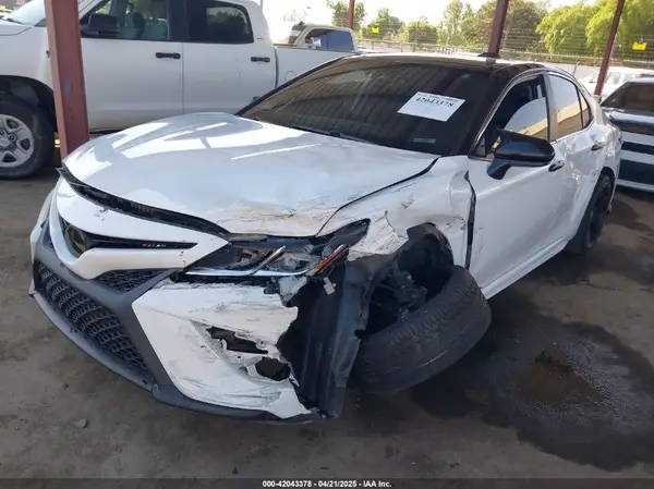 4T1B11HK8KU191644 2019 TOYOTA CAMRY - Image 2