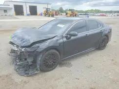 4T1B11HK8KU193930 2019 TOYOTA CAMRY