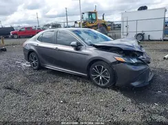 4T1B11HK8KU206028 2019 TOYOTA CAMRY