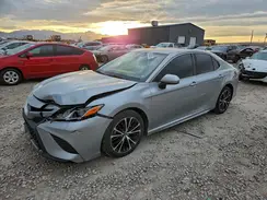 4T1B11HK8KU222116 2019 TOYOTA CAMRY