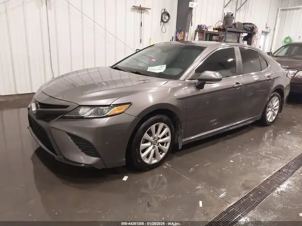 4T1B11HK8KU224710 2019 TOYOTA CAMRY - Image 2