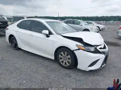 4T1B11HK8KU227817 2019 TOYOTA CAMRY