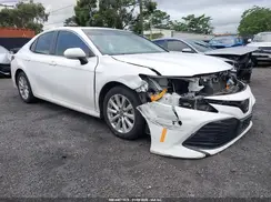 4T1B11HK8KU233049 2019 TOYOTA CAMRY