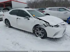 4T1B11HK8KU235495 2019 TOYOTA CAMRY