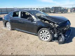 4T1B11HK8KU239918 2019 TOYOTA CAMRY