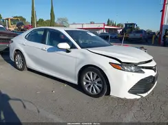 4T1B11HK8KU243600 2019 TOYOTA CAMRY