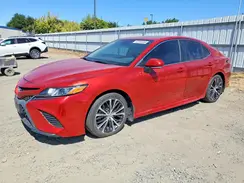 4T1B11HK8KU244519 2019 TOYOTA CAMRY