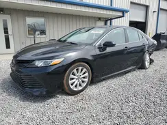4T1B11HK8KU244522 2019 TOYOTA CAMRY