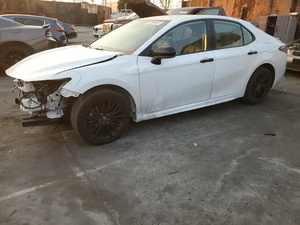4T1B11HK8KU249073 2019 TOYOTA CAMRY - Image 1