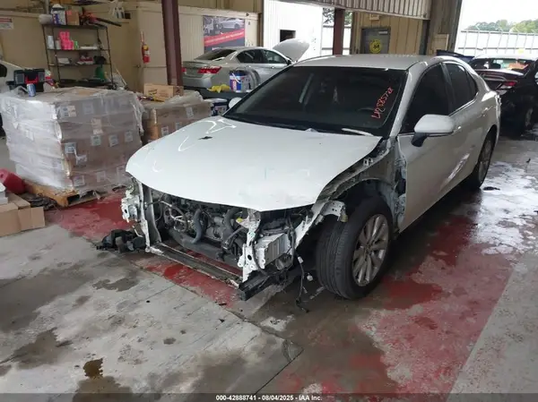 4T1B11HK8KU249641 2019 TOYOTA CAMRY - Image 2