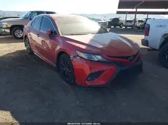 4T1B11HK8KU251955 2019 TOYOTA CAMRY