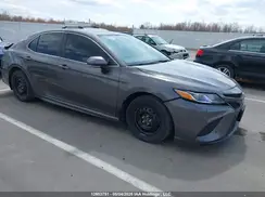 4T1B11HK8KU253236 2019 TOYOTA CAMRY