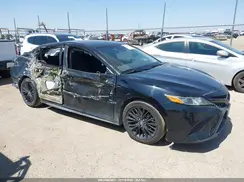 4T1B11HK8KU253981 2019 TOYOTA CAMRY