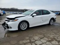 4T1B11HK8KU255097 2019 TOYOTA CAMRY