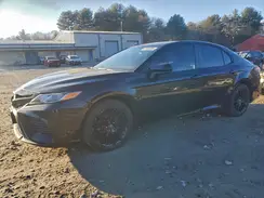 4T1B11HK8KU260817 2019 TOYOTA CAMRY