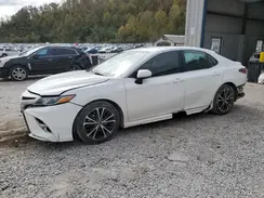 4T1B11HK8KU263524 2019 TOYOTA CAMRY