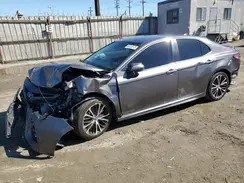 4T1B11HK8KU273566 2019 TOYOTA CAMRY