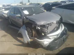 4T1B11HK8KU281795 2019 TOYOTA CAMRY