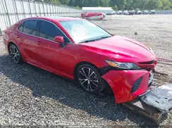4T1B11HK8KU298287 2019 TOYOTA CAMRY
