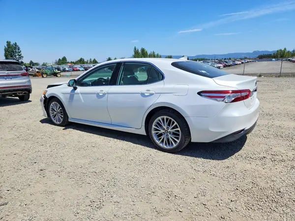 4T1B11HK8KU684191 2019 TOYOTA CAMRY - Image 2