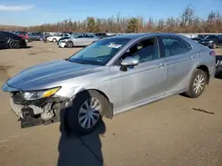 4T1B11HK8KU684854 2019 TOYOTA CAMRY