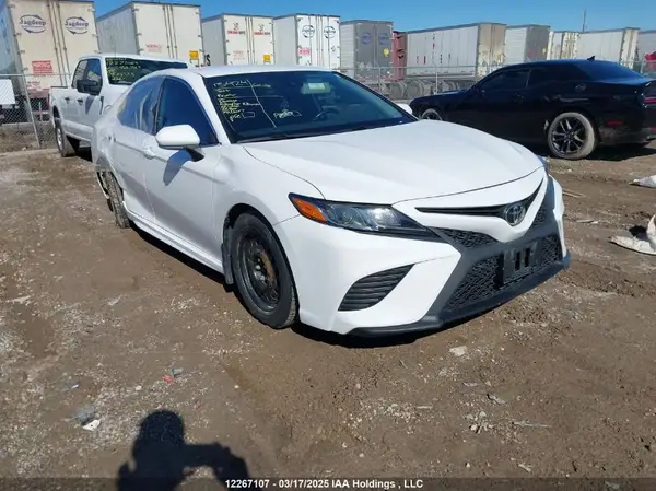 4T1B11HK8KU686541 2019 TOYOTA CAMRY - Image 1