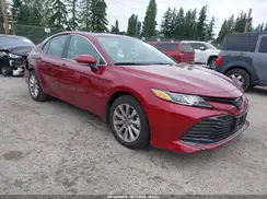 4T1B11HK8KU691416 2019 TOYOTA CAMRY