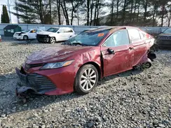 4T1B11HK8KU698138 2019 TOYOTA CAMRY