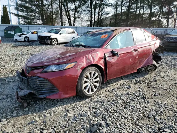 4T1B11HK8KU698138 2019 TOYOTA CAMRY - Image 1