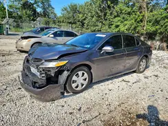 4T1B11HK8KU700230 2019 TOYOTA CAMRY