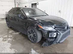 4T1B11HK8KU701488 2019 TOYOTA CAMRY