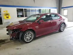 4T1B11HK8KU702625 2019 TOYOTA CAMRY