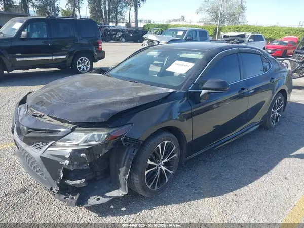 4T1B11HK8KU711499 2019 TOYOTA CAMRY - Image 2