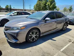 4T1B11HK8KU719196 2019 TOYOTA CAMRY