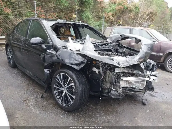4T1B11HK8KU731736 2019 TOYOTA CAMRY - Image 1