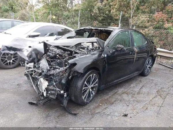 4T1B11HK8KU731736 2019 TOYOTA CAMRY - Image 2