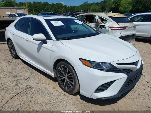 4T1B11HK8KU732613 2019 TOYOTA CAMRY - Image 1