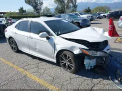4T1B11HK8KU733289 2019 TOYOTA CAMRY