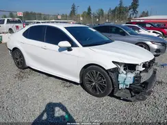 4T1B11HK8KU742302 2019 TOYOTA CAMRY