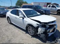 4T1B11HK8KU744762 2019 TOYOTA CAMRY