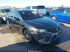 4T1B11HK8KU745300 2019 TOYOTA CAMRY