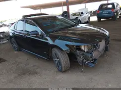 4T1B11HK8KU750433 2019 TOYOTA CAMRY