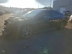 4T1B11HK8KU755681 2019 TOYOTA CAMRY